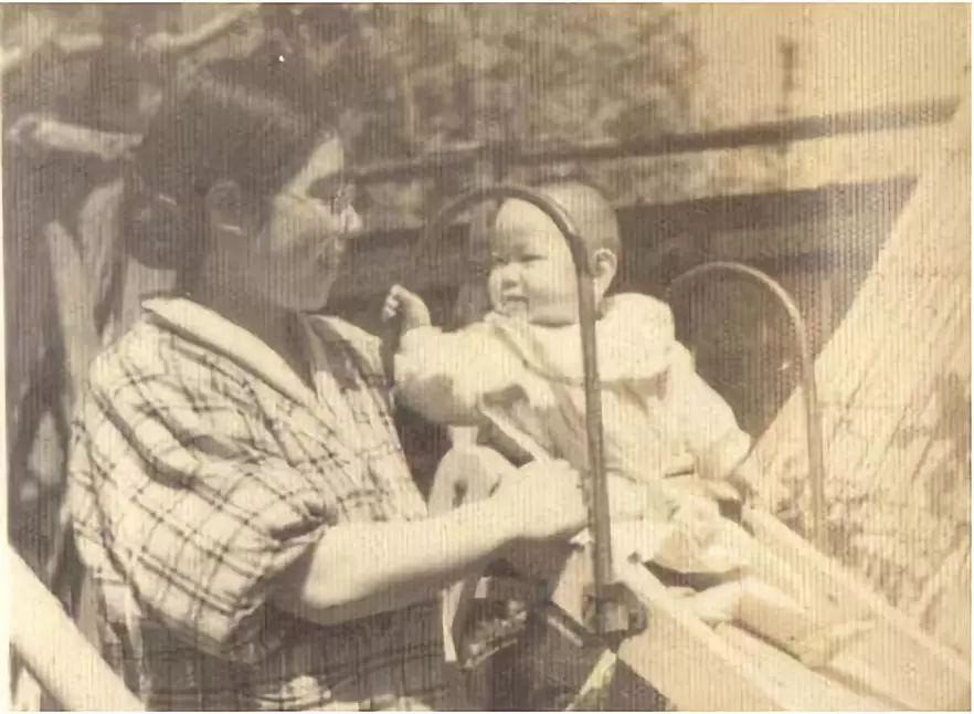 日本积极发展海外屯田的原因,中国海外屯田情况