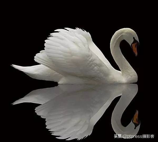 客叔辣评｜摆脱随手拍，你还有多远？