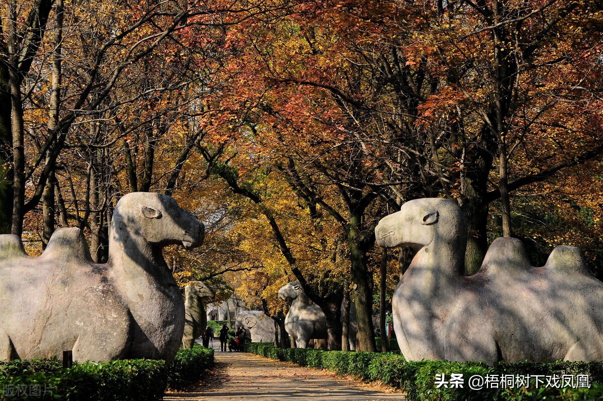 中华民国定都,首轮28票中20票选北京:孙中山力主南京的背后隐情