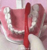 有效美白牙齿的小方法,5大美白牙齿的小窍门