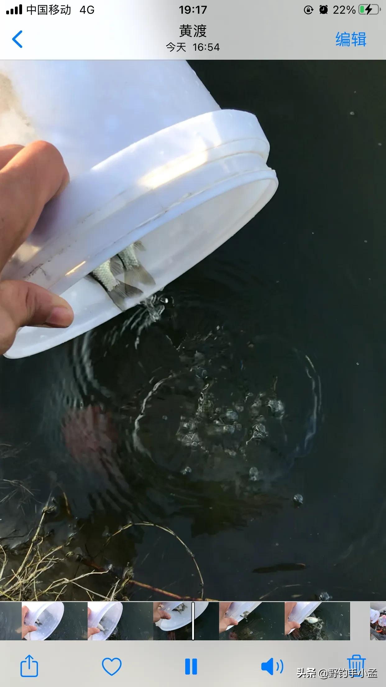 贼喊抓贼,是谁断送了野钓资源?有些钓鱼人要长点心吧