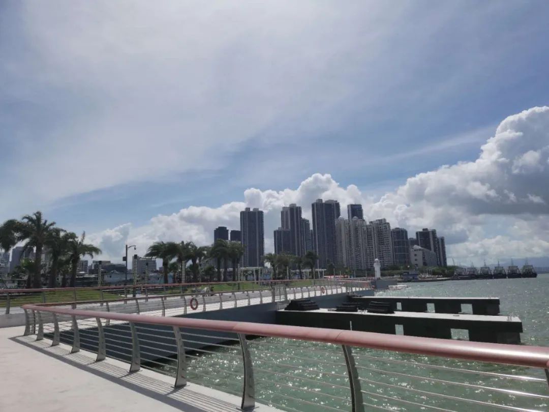 深圳新添大型高颜值公园,深圳最近新开放的公园