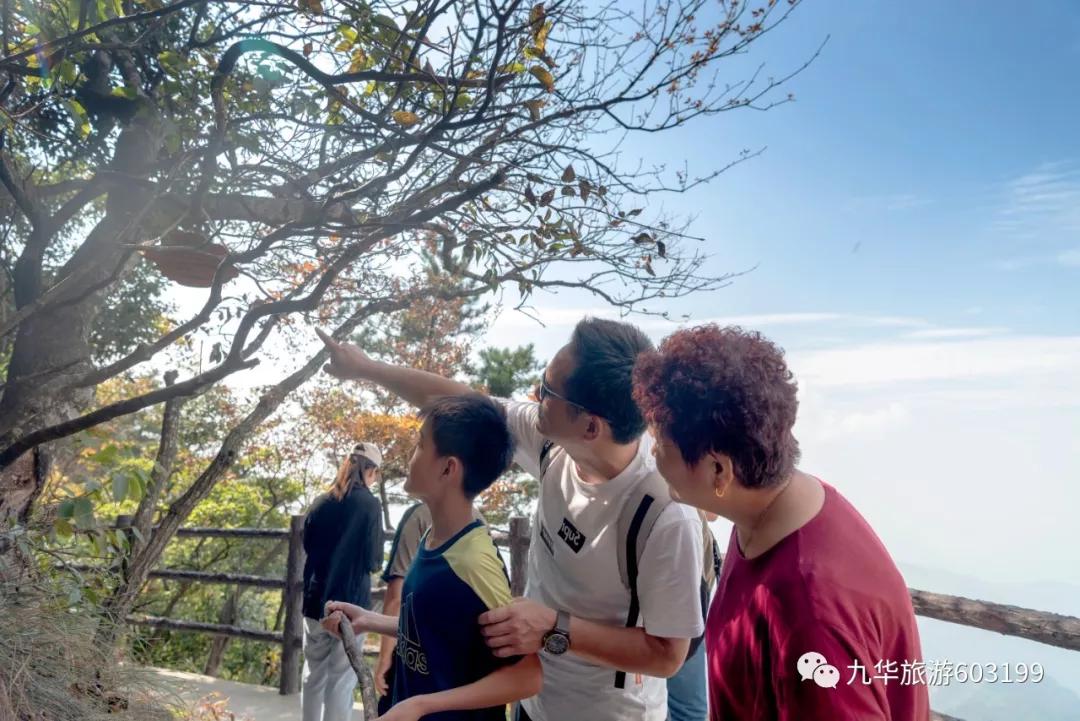 九华是哪个学校的学区房,九华学区房