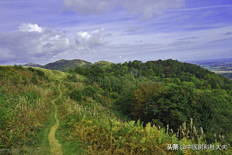 中医说的心脾两虚是什么意思,心脾两虚恢复症状