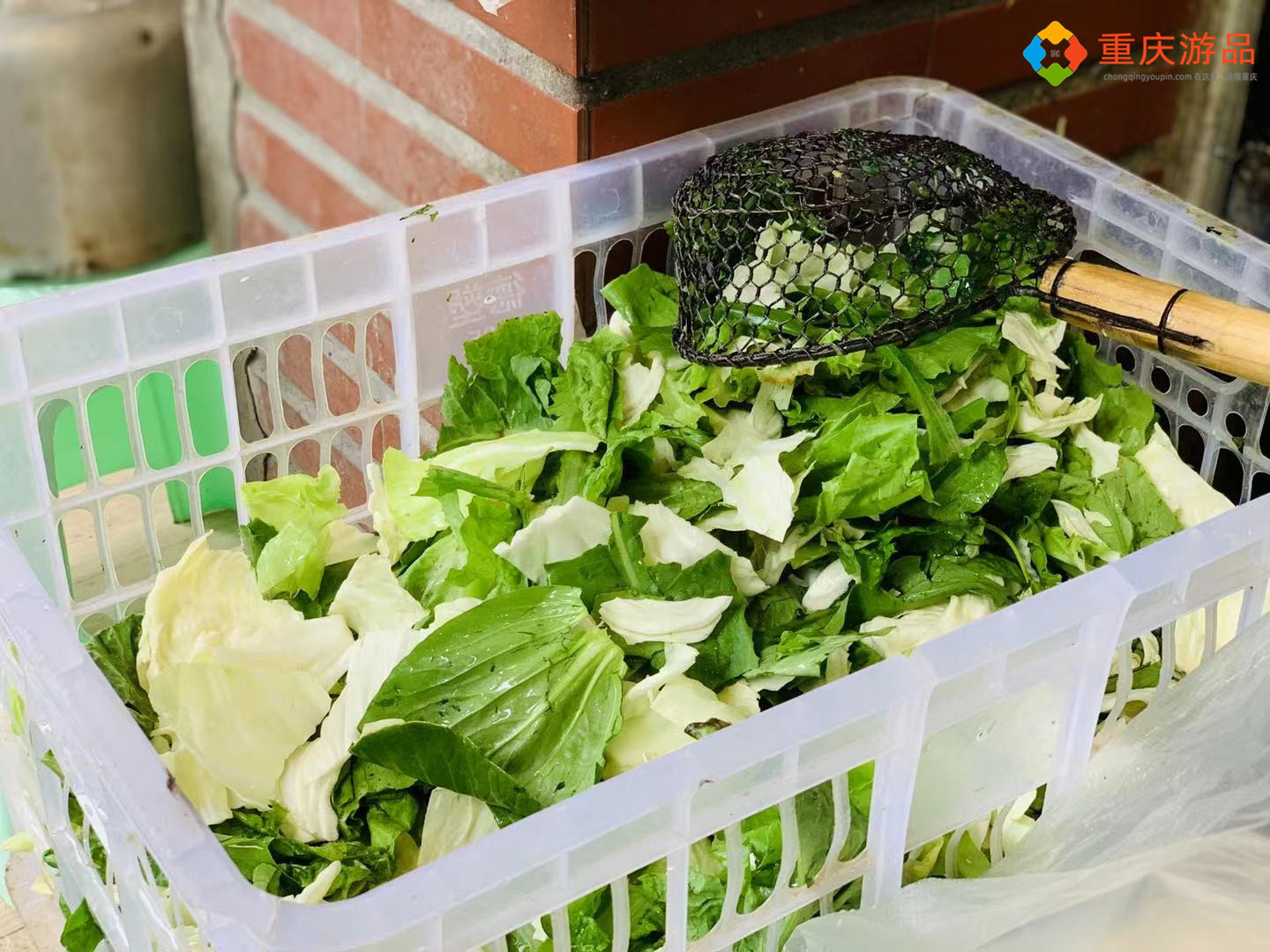重庆市上清寺牛肉面馆,重庆特色美食上清寺