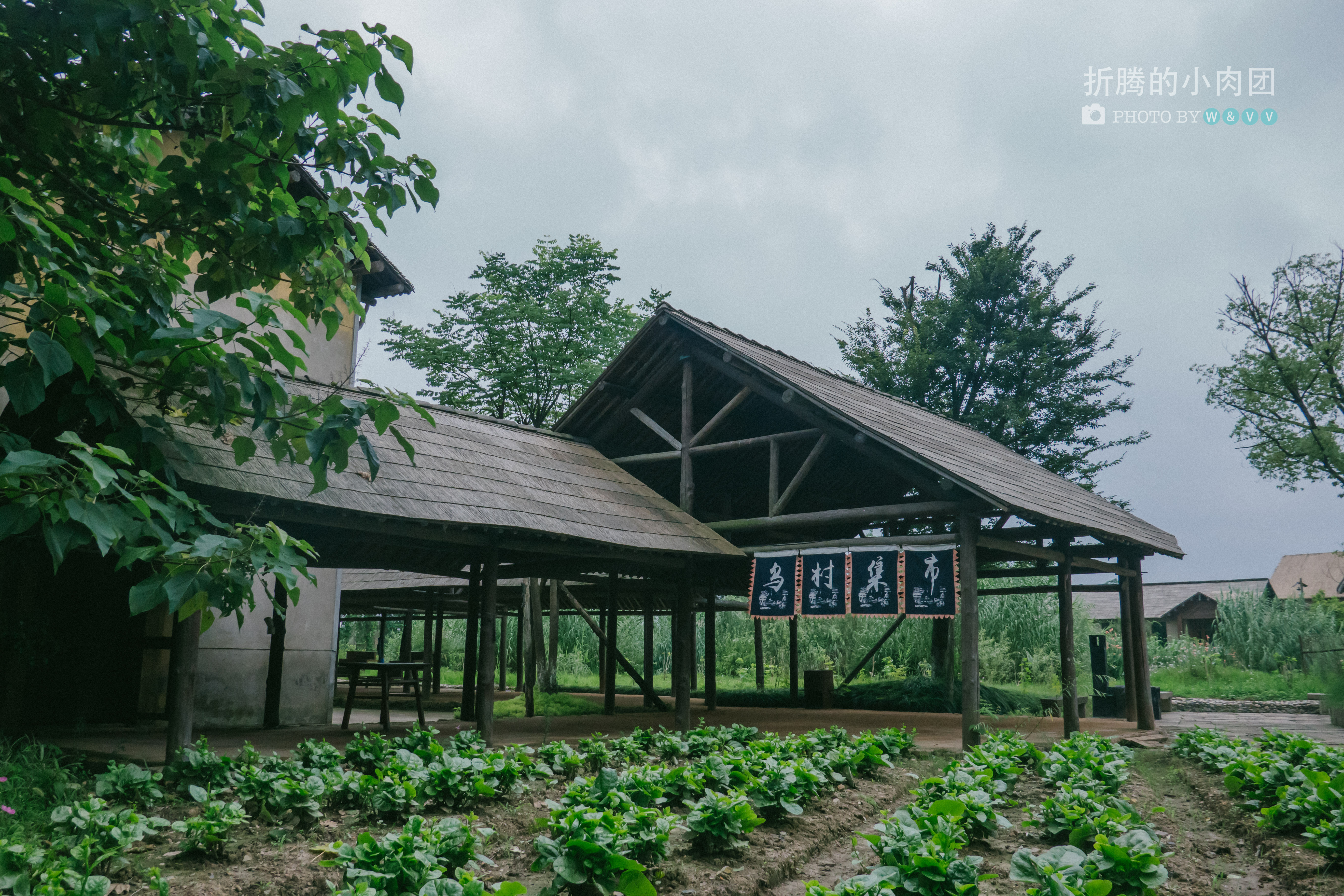 乌村亲子游全攻略,乌村亲子游攻略