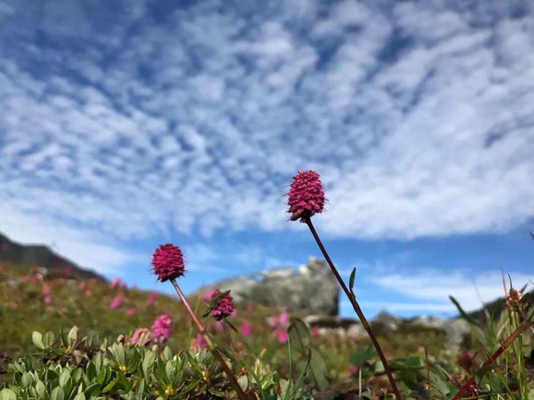 中国徒步墨脱第一人,墨脱中国徒步之首