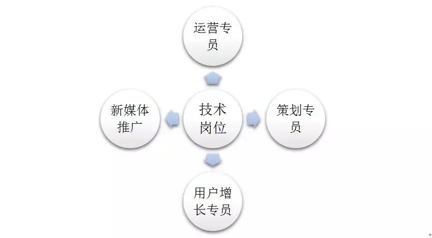 新媒体运营从入门到精通出版时间,民宿新媒体运营新手入门