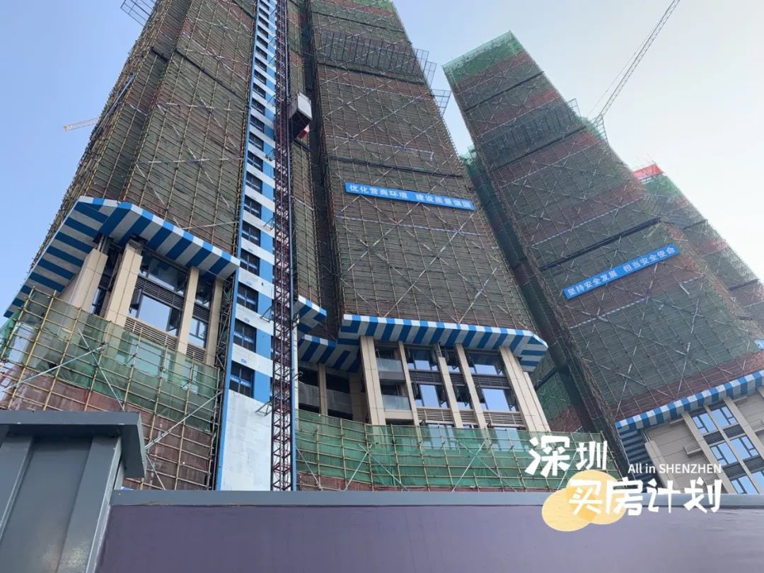 撸完宝安18个新盘！打地鼠式打新来了，你准备pick谁？