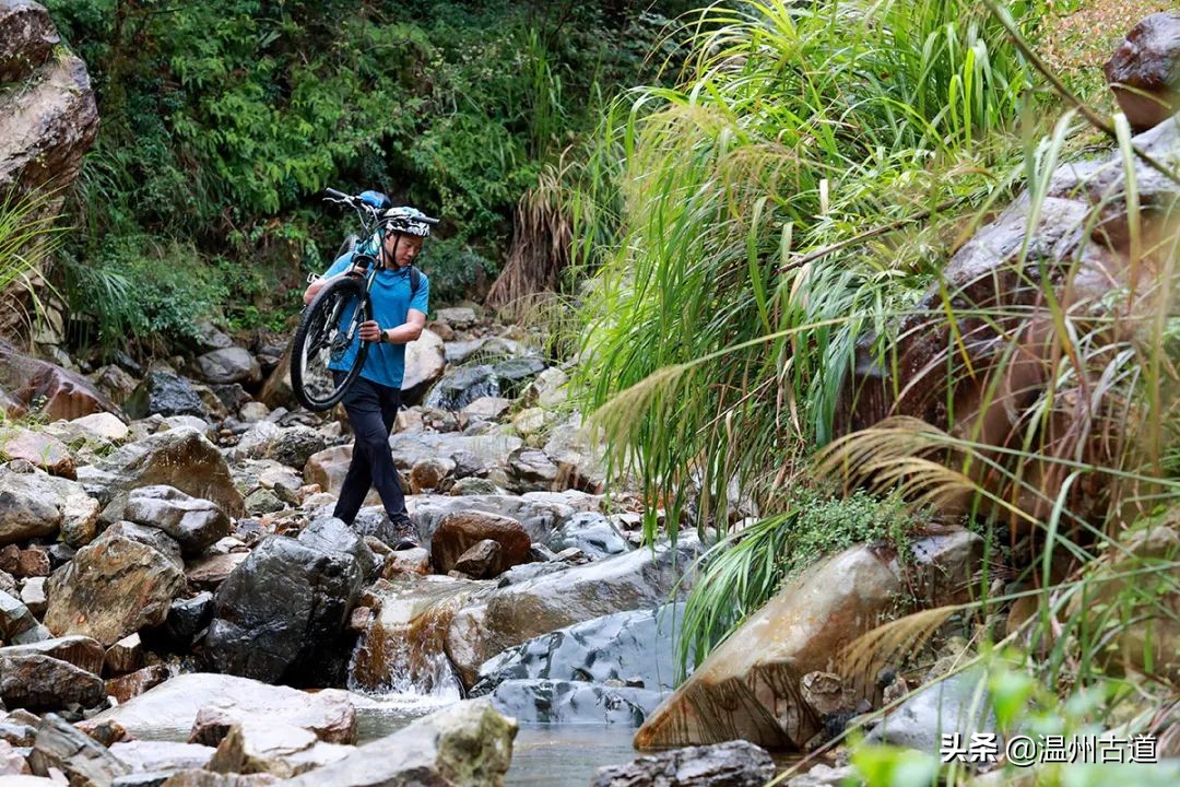 年近五旬，温州这位校长“扛着车玩骑行”！他的旅程有点牛