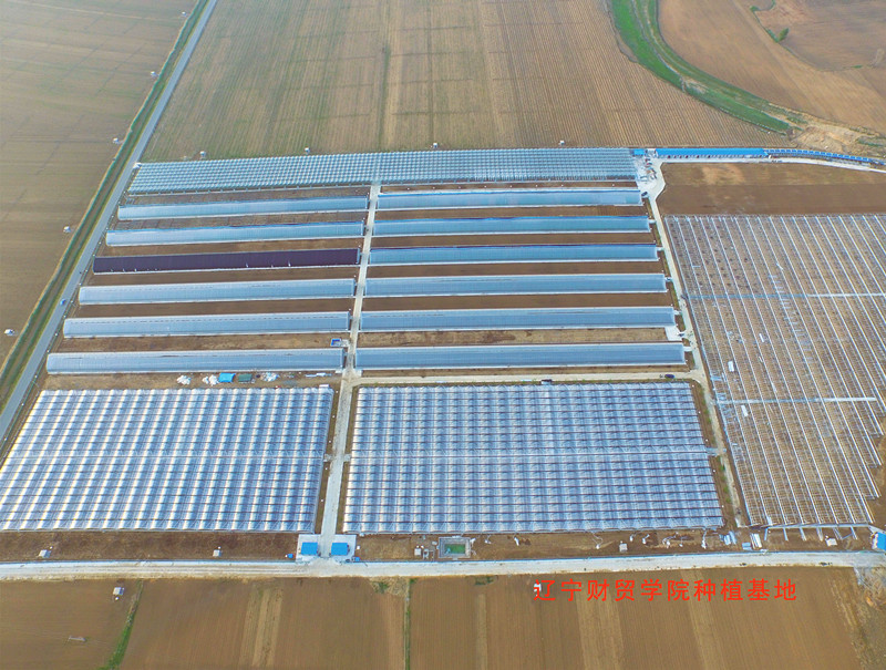 温室大棚设计规划建造,园区设计教程