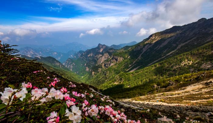宝鸡附近避暑绝佳的地方,宝鸡十大避暑景点排名第一