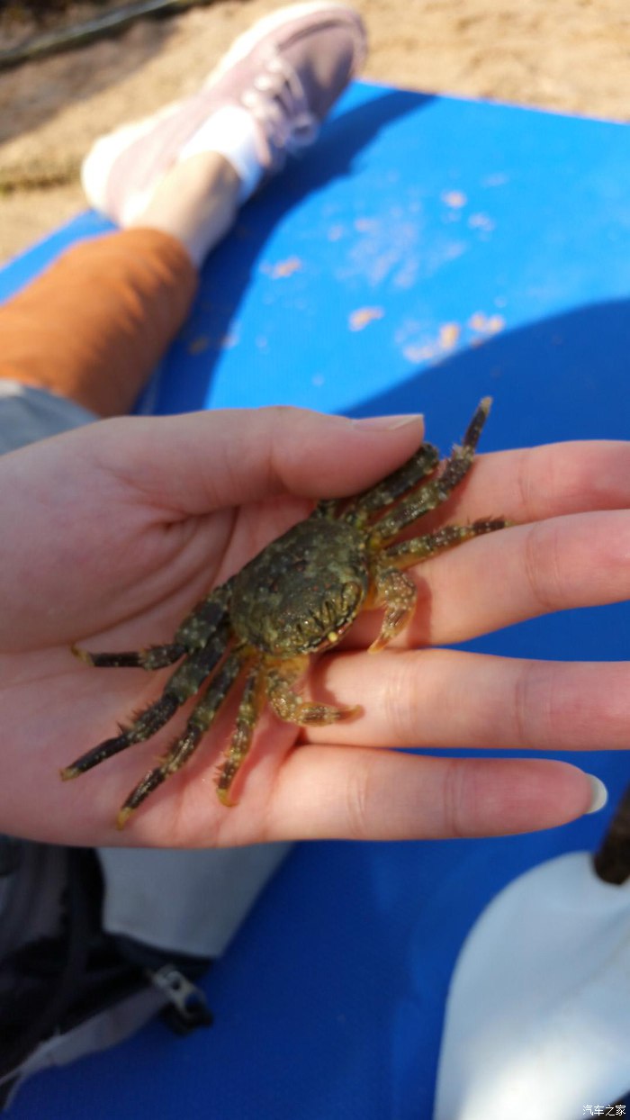 埃及10日游旅游攻略图,埃及六日游路线攻略图高清