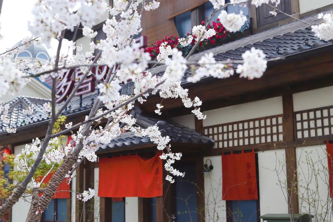 华谊兄弟电影世界（苏州）将于3月27日起正式恢复开园！