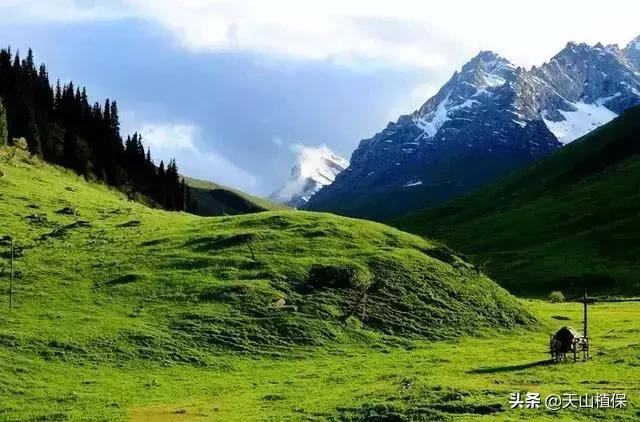 大美新疆百里画廊,北疆千里画廊打卡点