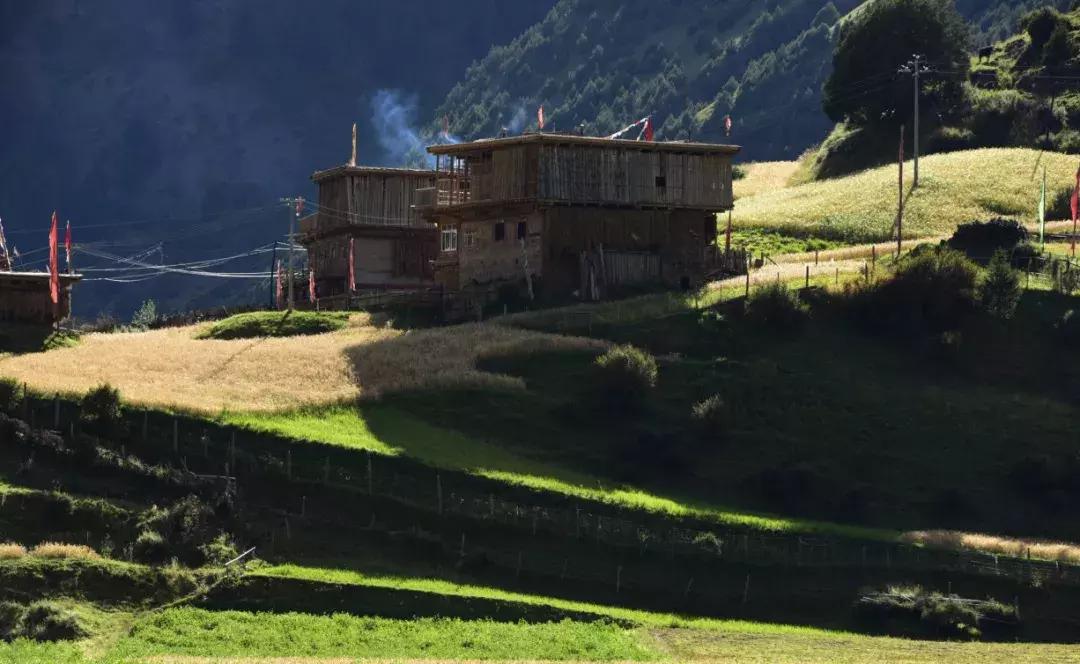 秋天的壤塘风景,壤塘秋天风景