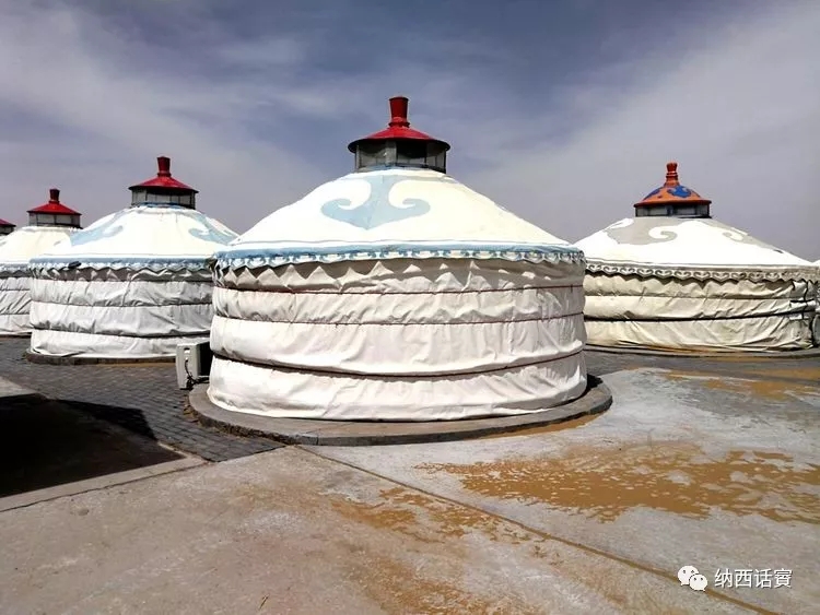 叶紫被雷劈穿越到异界,关于叶紫的穿越小说