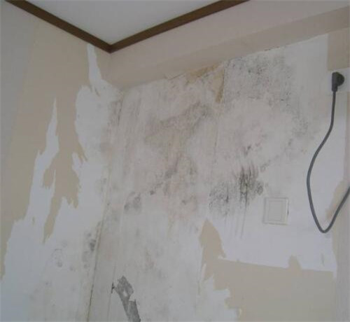 墙角地板发霉怎么处理,房子墙角渗水发霉怎么处理