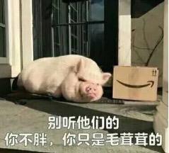 这里的毛毛千万别乱拔！小心会有生命危险