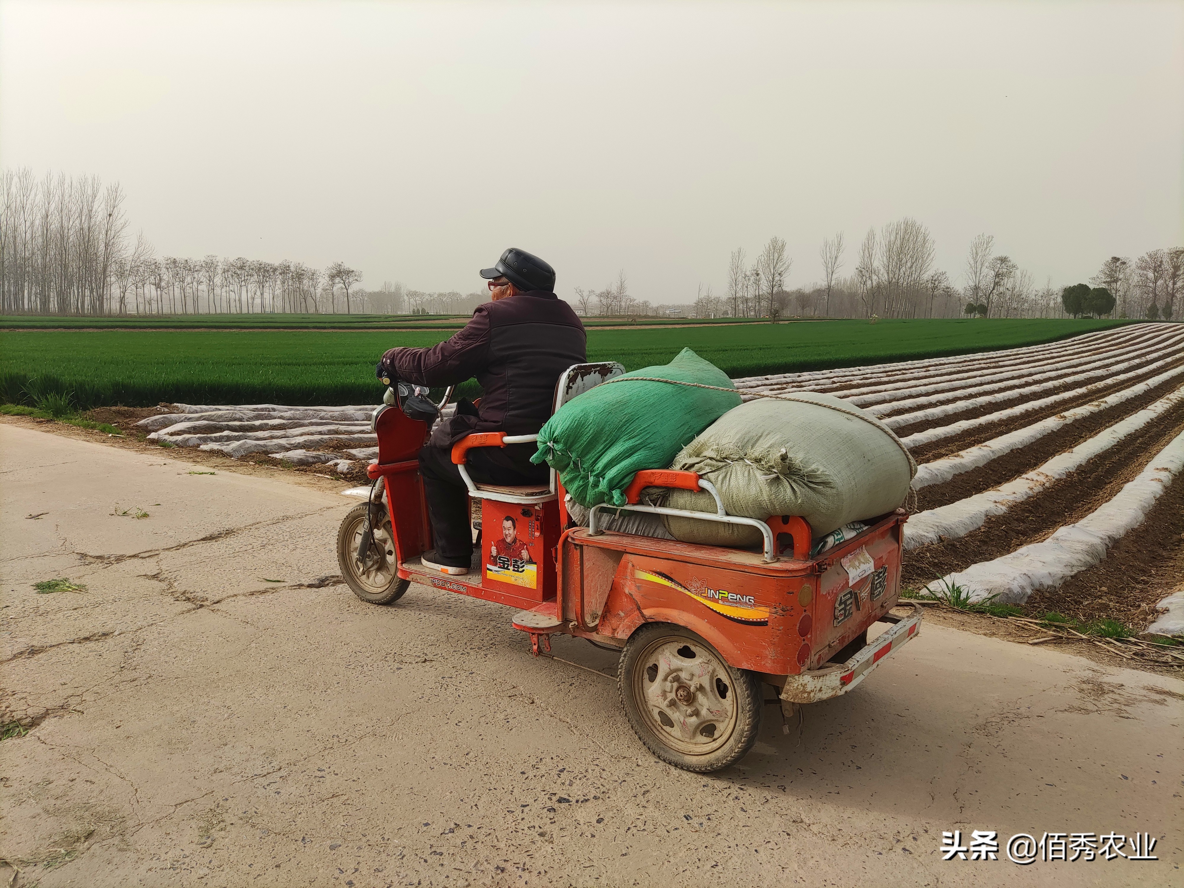 电动三轮车潜在风险大，但农民已产生依赖，现在禁用有必要吗