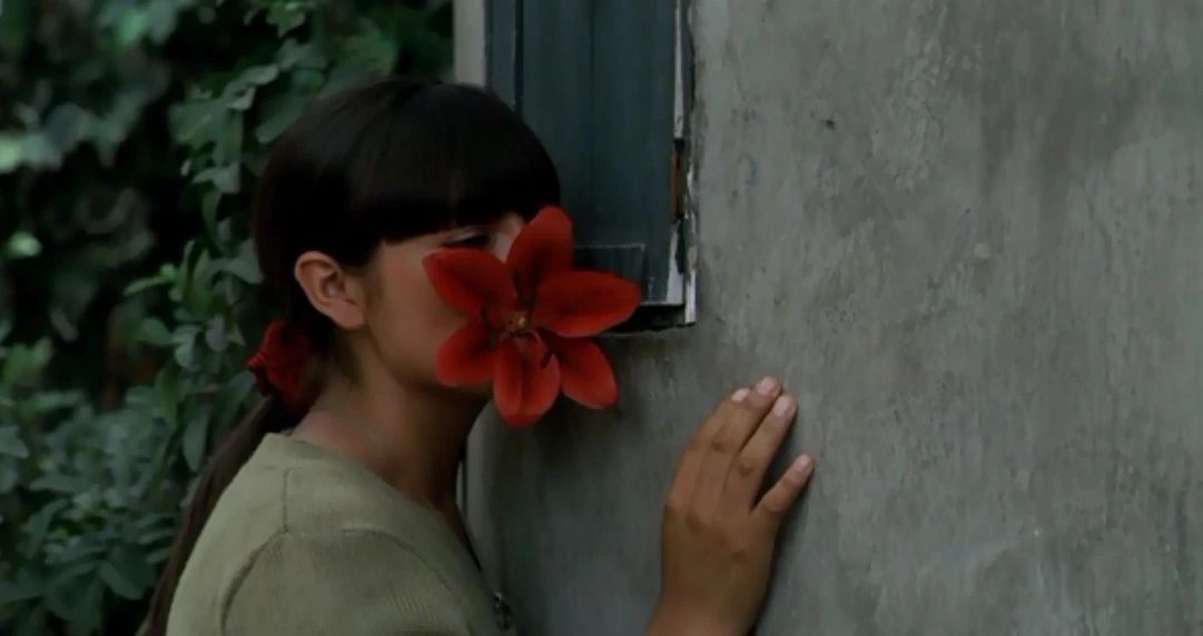 重口味！超大胆！观众被这部电影给骗了…