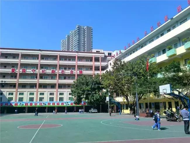 湛江教育机构被查,湛江通报批评