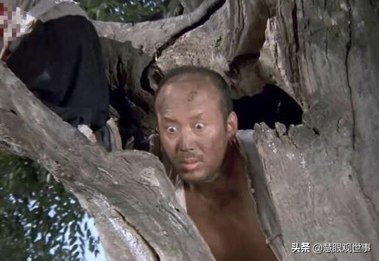 侯海洋基层风云在什么app上读,侯海洋基层风云10部在线阅读