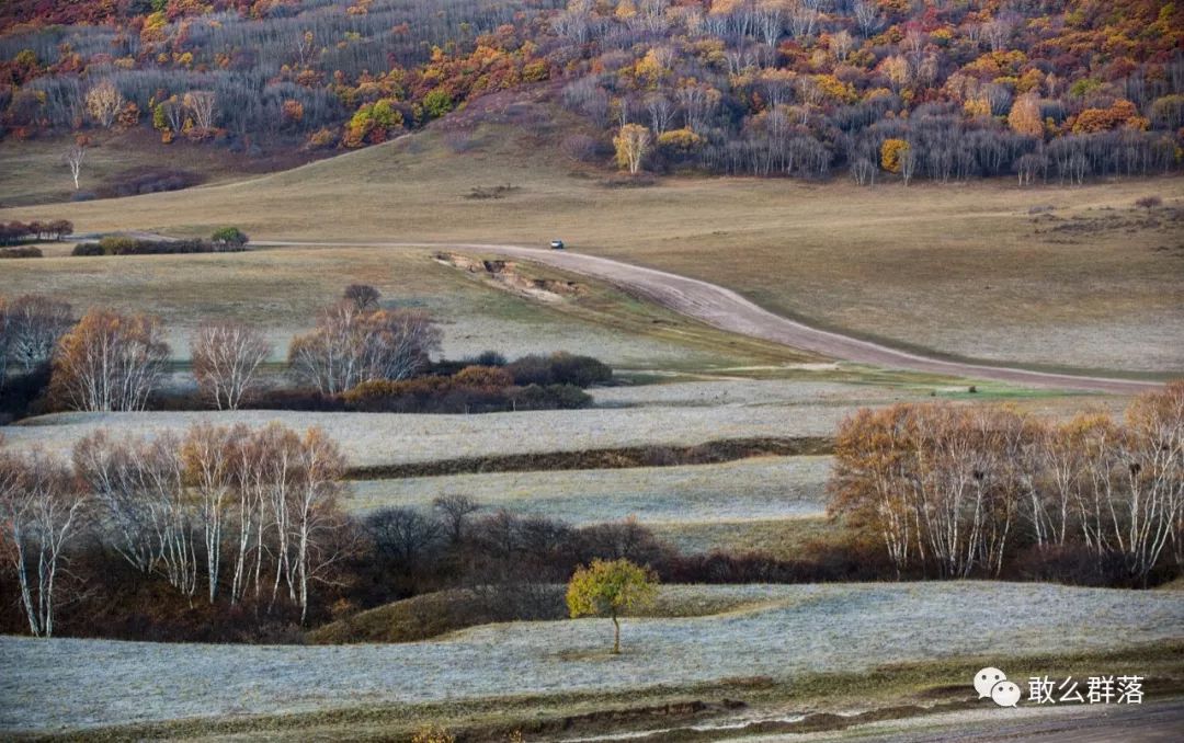 内蒙古旅游吃蒙餐,内蒙古蒙古传统美食