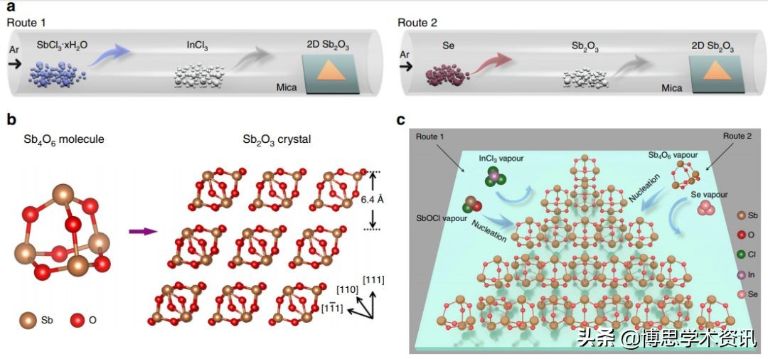 硅量子点和碳量子点,石墨烯量子点溶液形态
