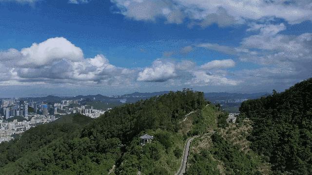 不离深也能“游”|公园超全攻略来了！千园之城，总有一款公园适合你