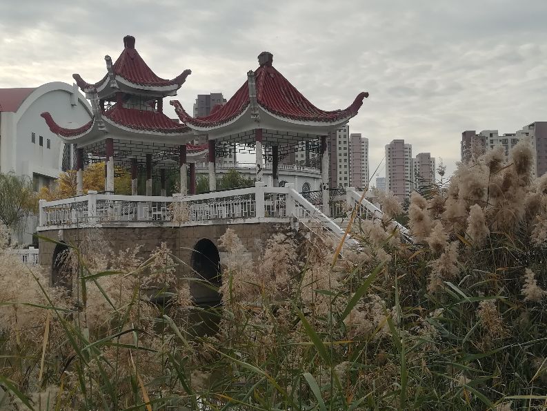 天津遛娃好去处,天津近郊一日游好去处