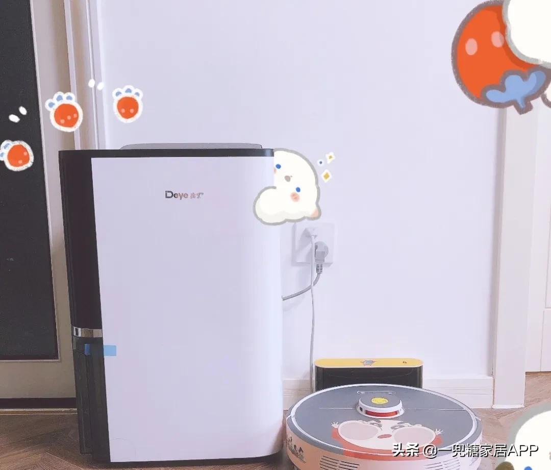 趁回南天还没杀到,我赶紧做了「*湿机除**」功课!(附屋主推荐款)