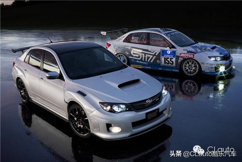 ​近乎残疾，不忍直视|流浪豹STI收养记Vol.01