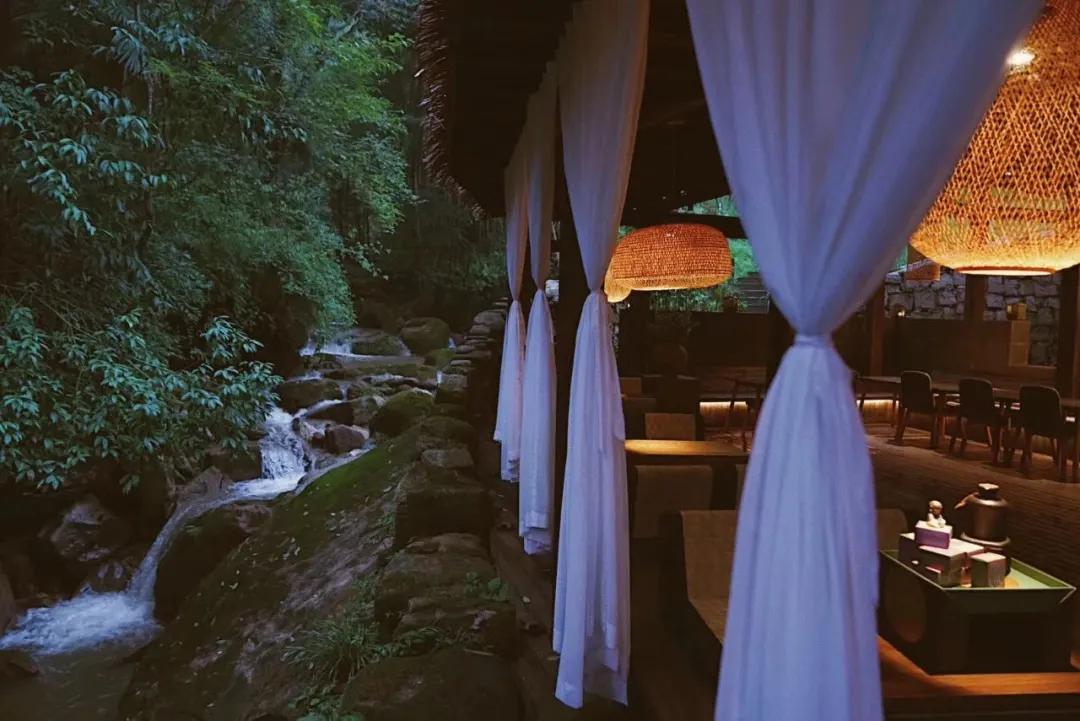 森林秘境的温泉,森林里野奢温泉度假酒店下午茶