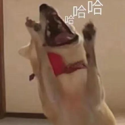 KPMG又栽跟头了，好一个流年不顺的KPMG