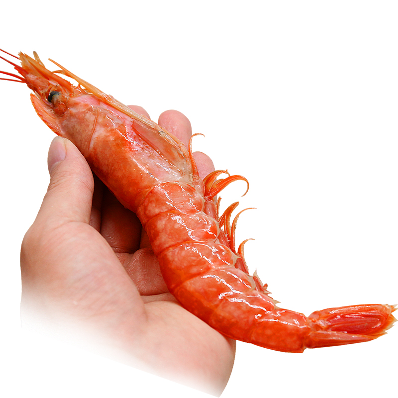 阿根廷红虾为什么卖不动,阿根廷红虾价格为什么那么便宜