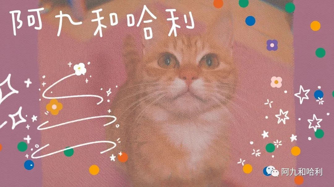 兼职写作赚钱哪里找,普通上班族怎么赚钱