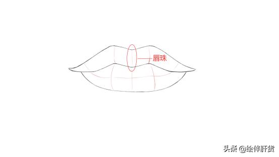 怎么画出诱人性感的小嘴唇？嘴唇的结构和画法教程分享