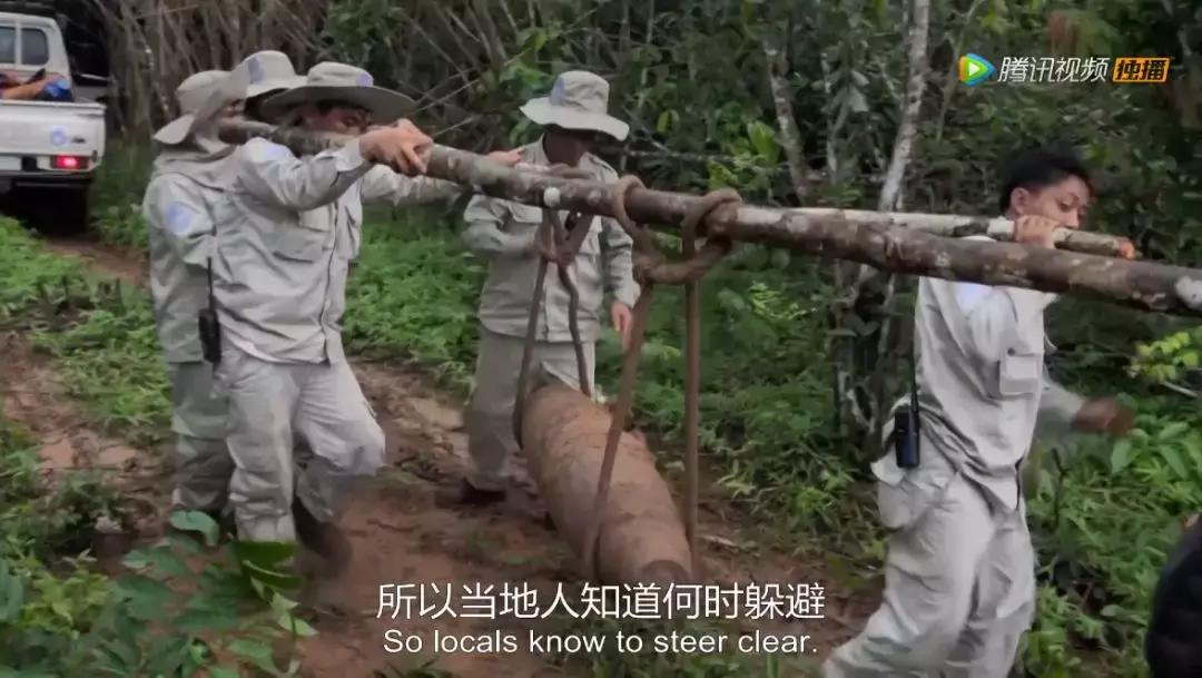 人在逆境要懂得坚持,面对逆境向阳而生