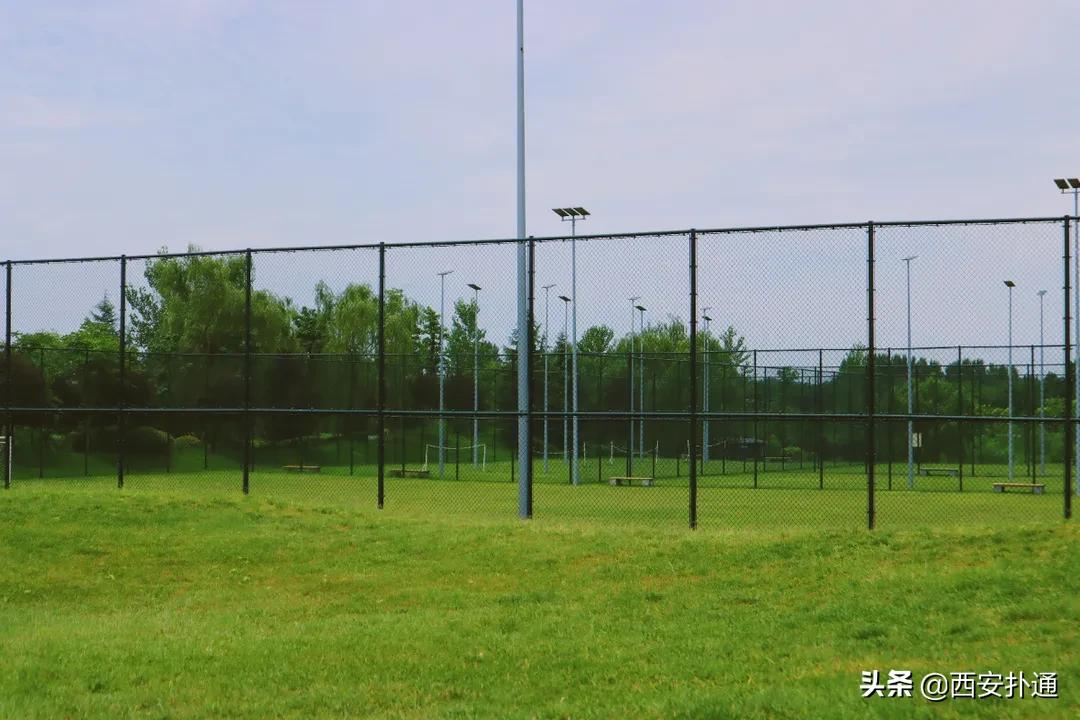 西安大草坪公园推荐,西安有大草坪的公园