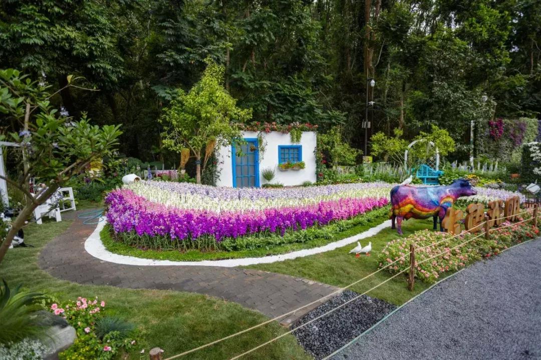 未来10天预警,深圳最最最最火的地方在这里,美女都赶来打卡