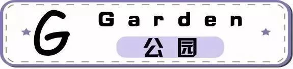 从a到z的26个字母,从a到z这26字母中你想选哪个