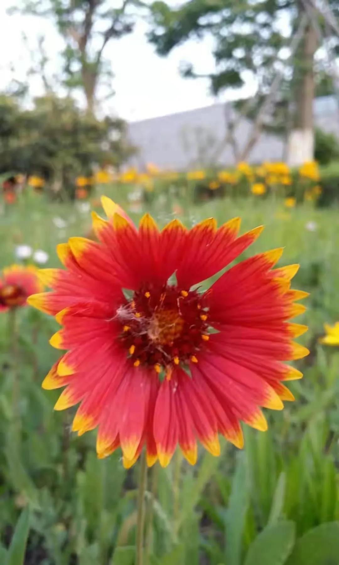 徐州艺术馆有什么,徐州老艺术馆