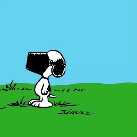 史努比九宫格朋友圈,史努比手机壁纸九宫格