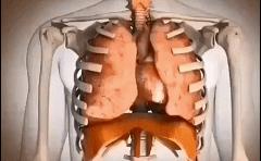 戴束腰子宫下垂,网红束腰导致内脏下垂