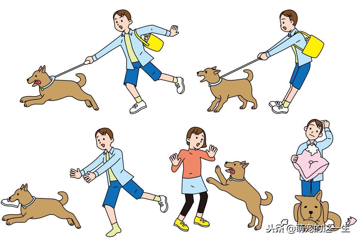 狗狗的几种叫声代表它讨厌你,狗狗的什么表现表示他很讨厌你