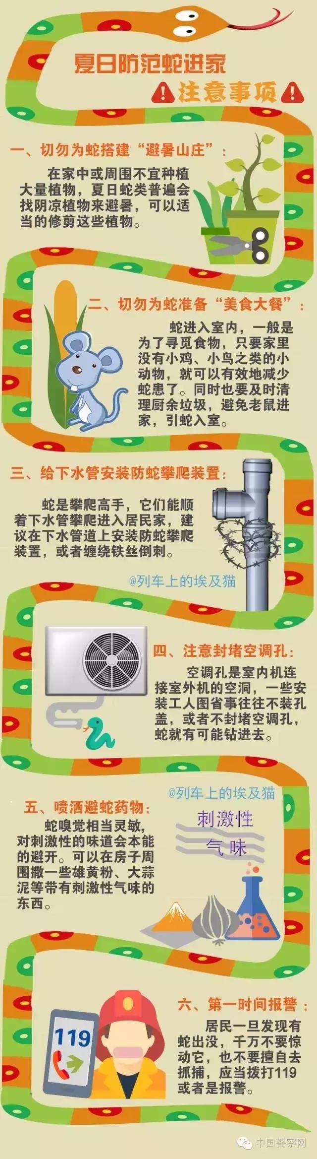 蛇出没高峰期广西,玉林一市民家里藏4条蛇