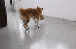 大超测评粉底液,大瓶粉底液推荐油皮持久平价