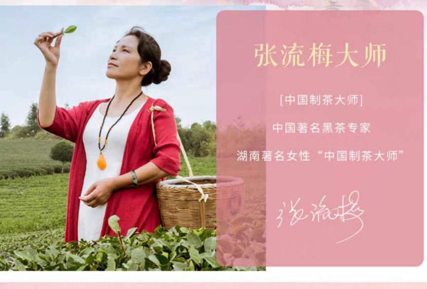 女士喝的美容养颜茶,女人喝什么茶补气血美容养颜