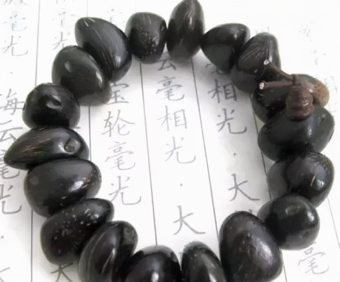 冷门菩提图片大全,比较少见的菩提